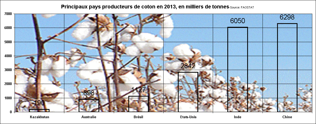 Principaux pays producteurs de coton en 2013, en milliers de tonnes-Source: FAOSTAT