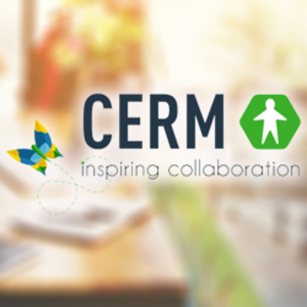 Actus mtier internet : Intgration ERP : CERM Ready 